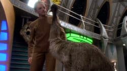 If Wishes Were Horses